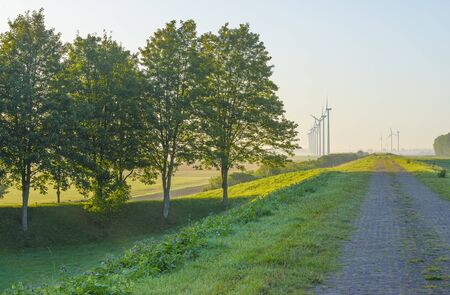 Green dike in a foggy landscape below a blue sky at sunrise in summer