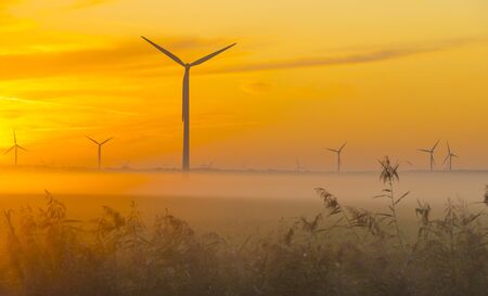 Sun shines on wind turbines in a foggy field at sunrise in summer