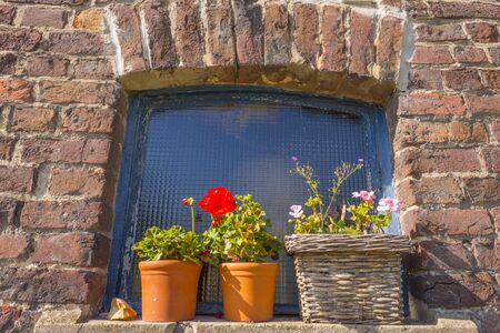 Flowerpot on a windowsill outside a building in sunlight at fall
