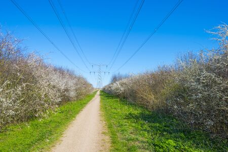 Transmission tower over a path in a field below a blue sky in springの写真素材