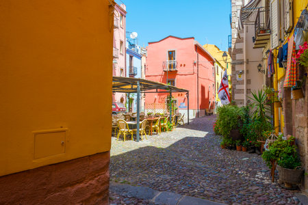 Colorful houses in the alleys of the town of Bosa in Sardinia in sunlight in springのeditorial素材