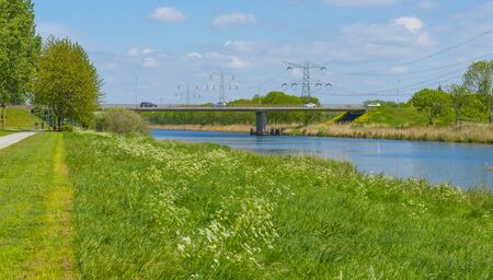 Canal with wild flowers and lush foliage below a blue sky in sunlight in springの写真素材