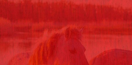 The brilliance of a red canvas with a horse along the edge of a lake lit by the sun at a spring day as a decorative backgroundの写真素材