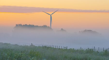 Foggy agricultural field below a misty blue yellow sky in sunlight at a misty sunrise in a spring...