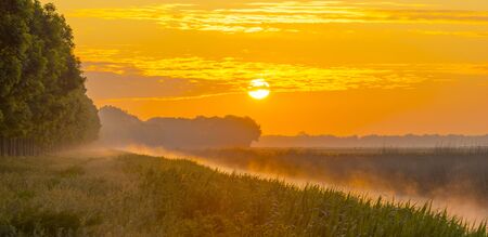 Misty canal in an agricultural field below a blue yellow sky in sunlight at a foggy sunrise in a spring morningの写真素材