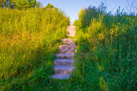 Stairs on a grassy green dike below a blue sky in sunlight in summerの写真素材