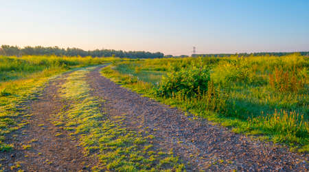 The edge of a sunlit lake at sunrise in an early summer morning below a blue sky