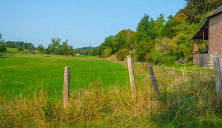 Fields and trees in a green hilly grassy landscape under a blue sky in sunlight at fall, Voeren, Limburg, Belgiumの写真素材