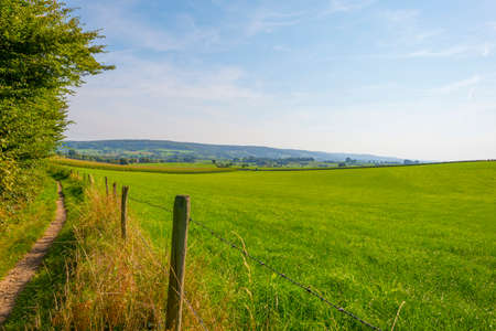 Fields and trees in a green hilly grassy landscape under a blue sky in sunlight at fall, Voeren,...