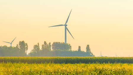 Wind turbines in a misty agricultural field in the countryside with a yellow sky at sunrise in autumn, Almere, Flevoland, The Netherlandsの写真素材