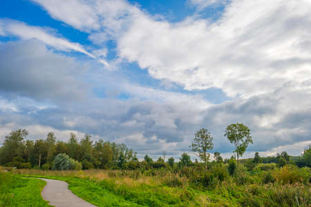 The edge of a lake in a green grassy field in sunlight under a blue cloudy sky in autumn, Almere, Flevoland, The Netherlands, September 27, 2020の写真素材