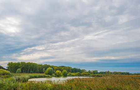 The edge of a lake in a green grassy field in sunlight under a blue cloudy sky in autumn, Almere, Flevoland, The Netherlands, September 27, 2020の写真素材