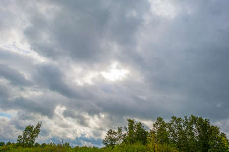 The edge of a lake in a green windy rainy wetland in spare sunlight under a gray white cloudy sky in...