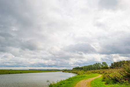 The edge of a lake in a green windy rainy wetland in spare sunlight under a gray white cloudy sky in autumn, Almere, Flevoland, The Netherlands, October 4, 2020の写真素材
