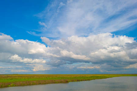 The edge of a lake in a green windy wetland in bright sunlight under a blue white csky in autumn, Almere, Flevoland, The Netherlandsの写真素材