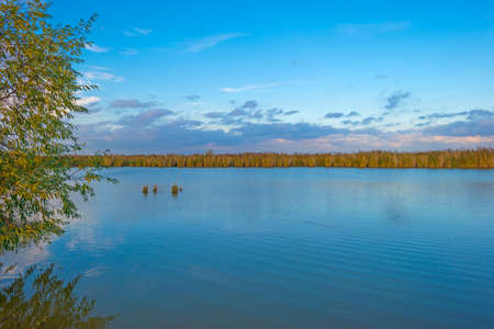 The edge of a lake in autumn colors under a blue cloudy sky at fall, Almere, Flevoland, The...