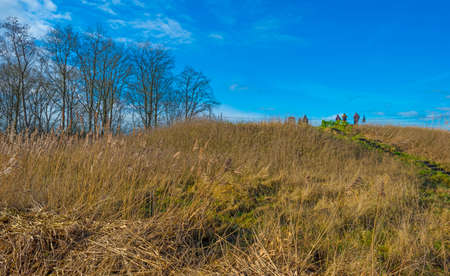 Dike in a green grassy field in wetland in sunlight under a blue sky in winter, Almere, Flevolandの写真素材