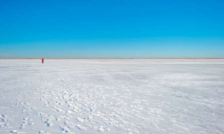 Snowy edge of a white frozen lake in wetland under a blue bright sky in winter, Almere, Flevoland,...