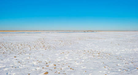 Ice skating  a white frozen lake in wetland under a  bright in winter, Almere, Flevoland, ...