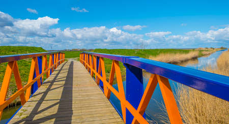 Reed along the edge of a canal in an agricultural field in bright sunlight below a blue cloudy sky in spring, Almere, Flevoland, The Netherlands, April 13, 2021の写真素材