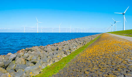 Wind turbines for renewable energy in a lake in bright blue sunlight in spring, Noordoostpolder,...