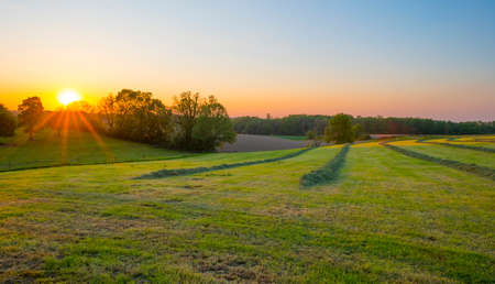 Sundown over fields and trees in a green hilly grassy landscape under a colorful sky in sunlight in springtime, Voeren, Limburg, Belgium, June, 2021の写真素材
