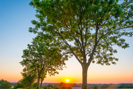 Sundown over fields and trees in a green hilly grassy landscape under a colorful sky in sunlight in springtime, Voeren, Limburg, Belgium, June, 2021の写真素材