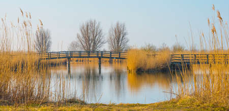 Wooden bridge reflecting in a lake under a blue sky in bright sunlight in winter, Almere, Flevoland, The Netherlands, March 13, 2022の写真素材