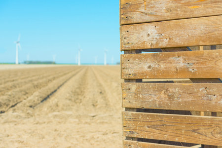 Plowed agricultural field with furrows along wind turbines in sunlight below a blue sky in spring, Noordoostpolder, Flevoland, The Netherlands, April 20, 2022の写真素材