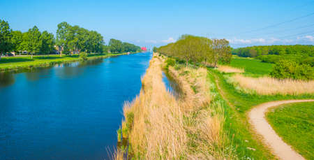 Reed along the edge of a canal in bright sunlight under a blue sky in springtime, Almere, Flevoland,...