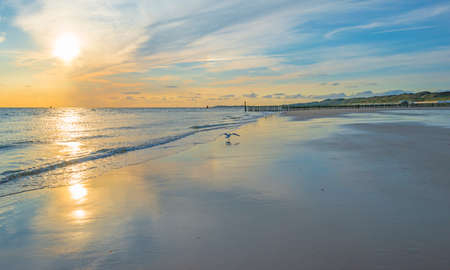 Sand beach along a sea under a dusk cloudy sky at a bright sunset in summer, Walcheren, Zeeland, the Netherlands, July, 2022の写真素材