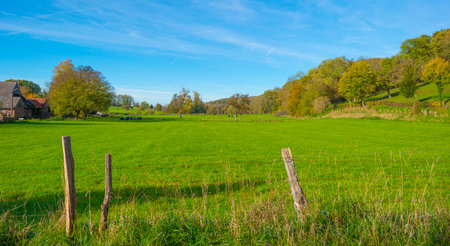 Fields and trees in a green hilly grassy landscape under a blue sky in sunlight in autumn, Voeren, Limburg, Belgium, November, 2022の写真素材