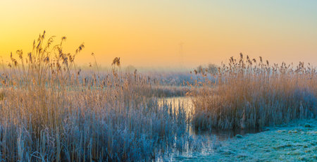 Shore of a frozen lake at sunrise in winter with alreadyの写真素材