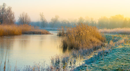 Shore of a frozen lake at sunrise in winter, Almere, Flevolandの写真素材