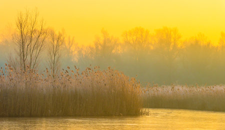 Shore of a lake at sunrise in winter, Almere, Flevolandの写真素材