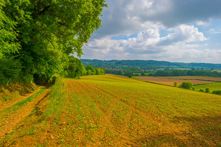 Rural landscape in springtime with green fields and trees, Germanyの写真素材