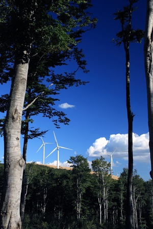 Power Generating Windmills behind treesの写真素材