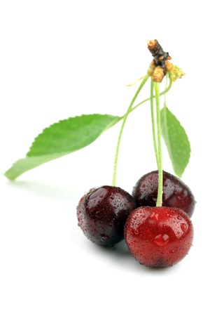 macro studio shot of cherry fruit covered with water-dropsの写真素材