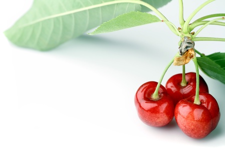 macro stusio shot of cherry fruit on whiteの写真素材
