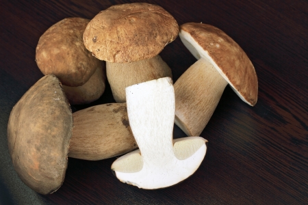 a group of porcini mushroomsの写真素材