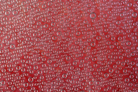 condensation bubbles on red background, abstract backgroundの写真素材