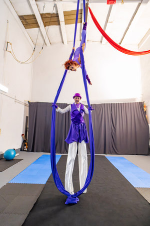 Two circus artists wearing purple costumes, performing acrobatics with aerial silks, one suspended in the air, and the other standing on stiltsの写真素材