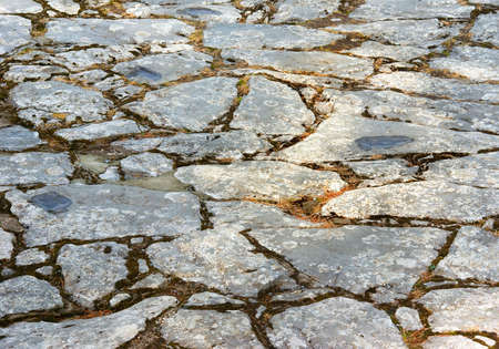 Morning sunlight on an old stone path, overgrown with moss and lichen, with small pools left by overnight rainの写真素材