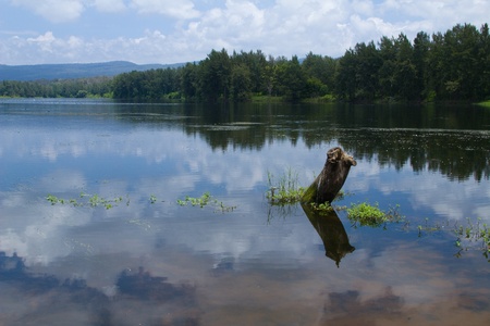 Nepean Riverの写真素材