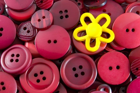 Red Buttons - Yellow Flowerの写真素材