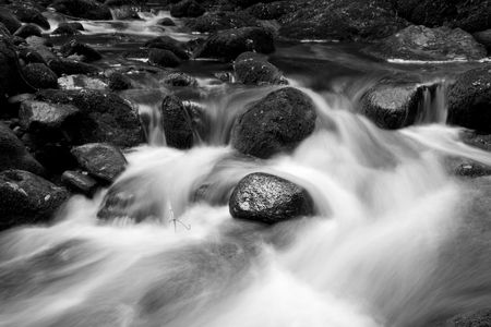 Enniskerry Nature Reserveの写真素材