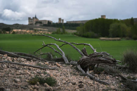 Landscape in UclÃ©s with dry branches in the foreground and the monastery and the castle in the background in spring, Cuenca, Spainのeditorial素材