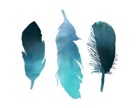 Blue Watercolor three bird featherの写真素材