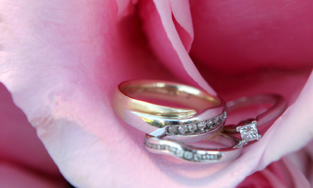 Wedding Rings Bands in a Pink Rose Petal Flowerの写真素材
