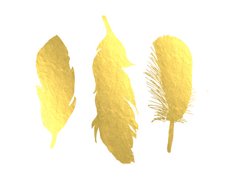 Gold Foil Bird Feathersの写真素材